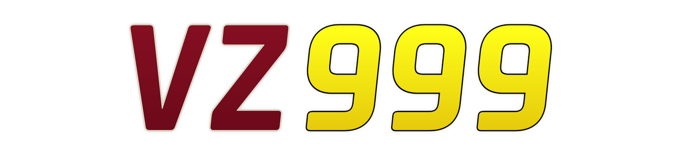 vz999 logo
